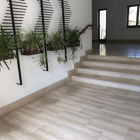 Appartamento Le Zagare Сорренто Экстерьер фото